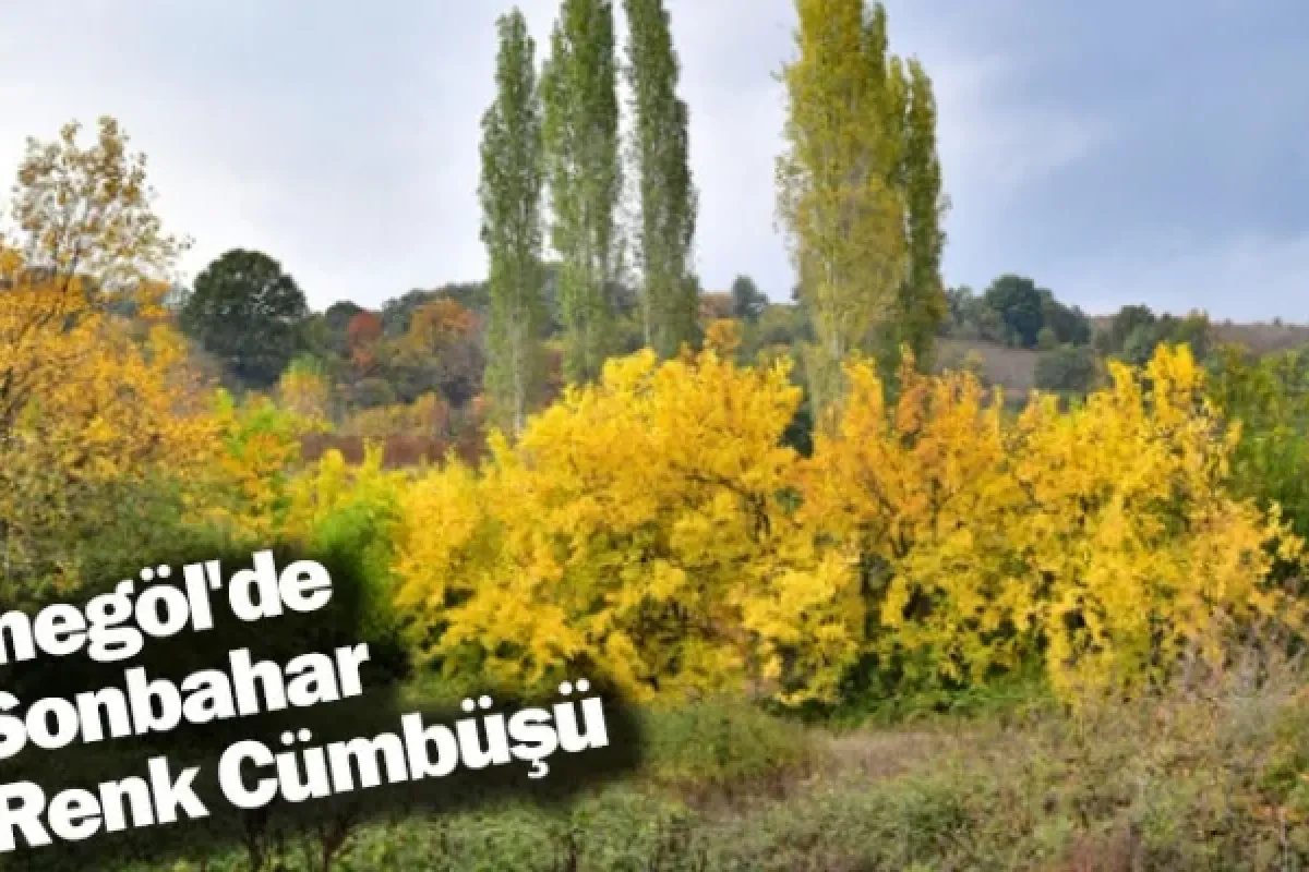 İnegöl'de Sonbahar Renk Cümbüşü