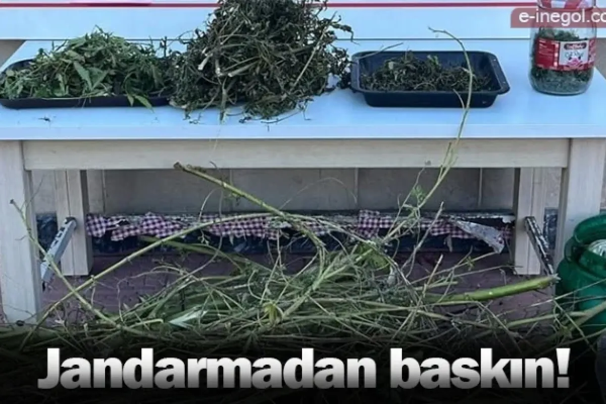 Jandarmadan baskın!