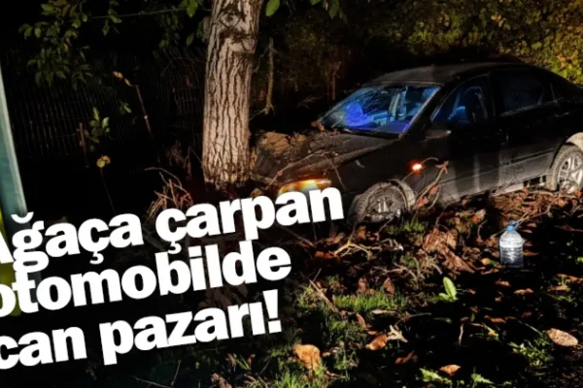 Ağaça çarpan otomobilde can pazarı!