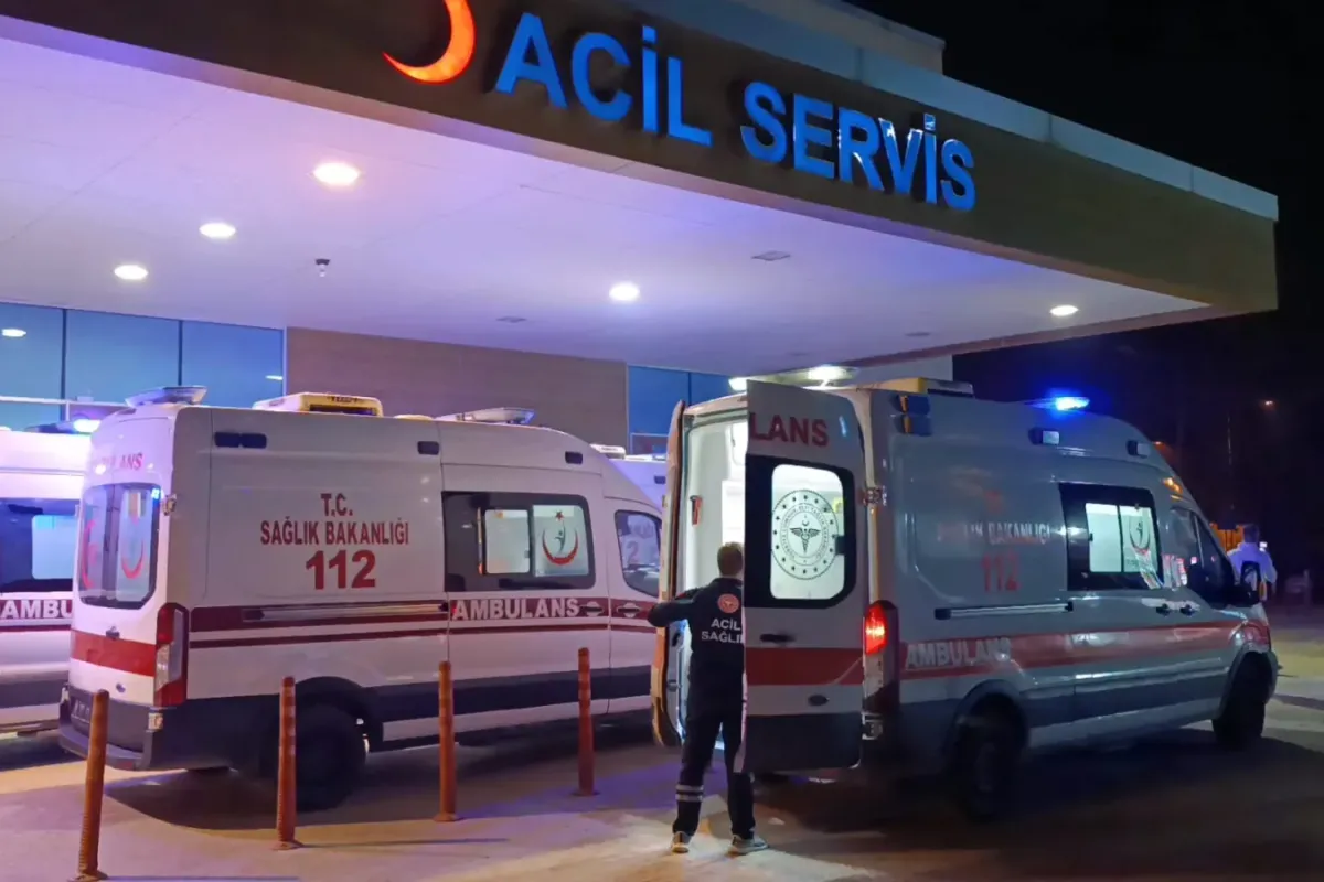 Yedikleri mantar hastanelik etti