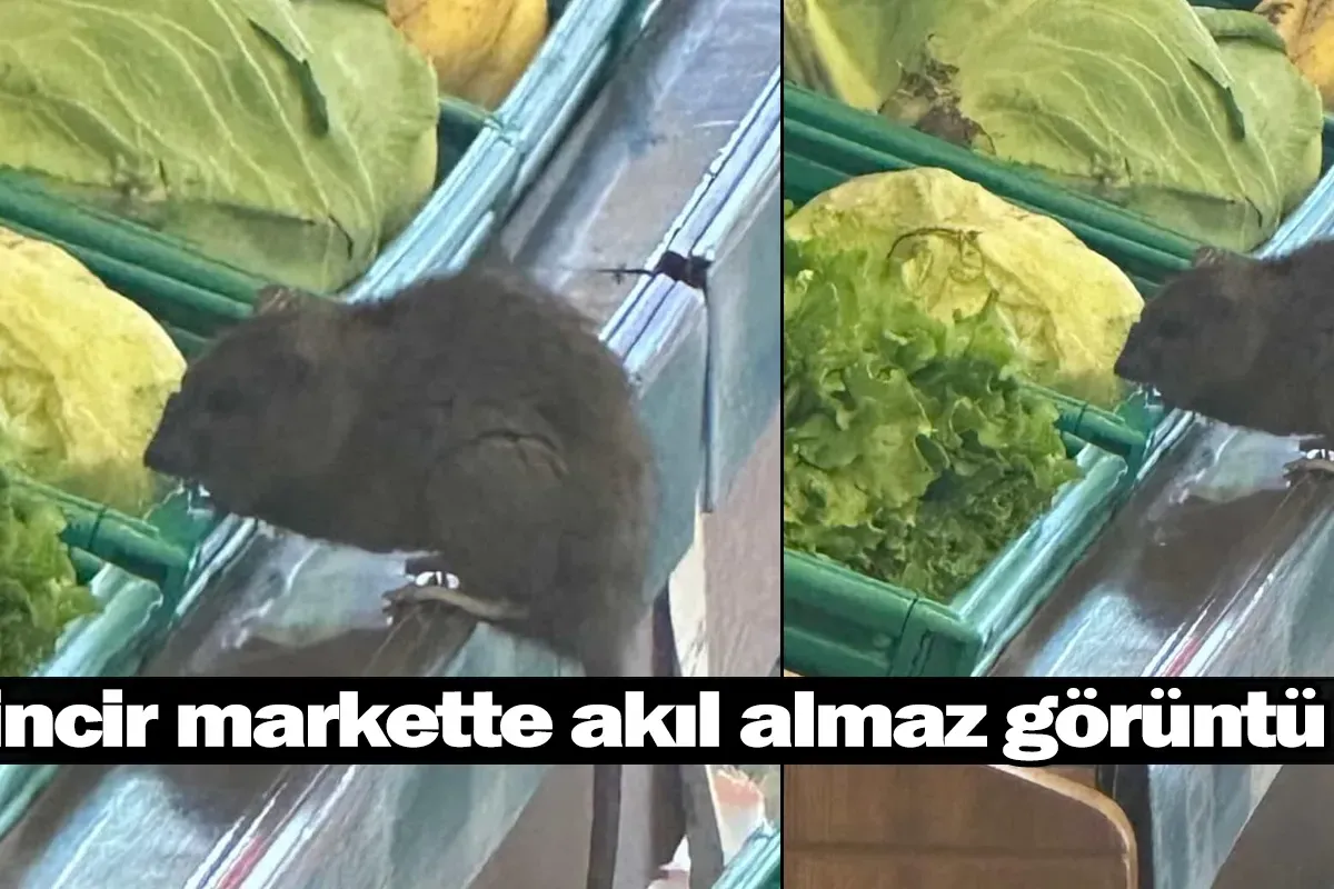 Zincir markette akıl almaz görüntü ...