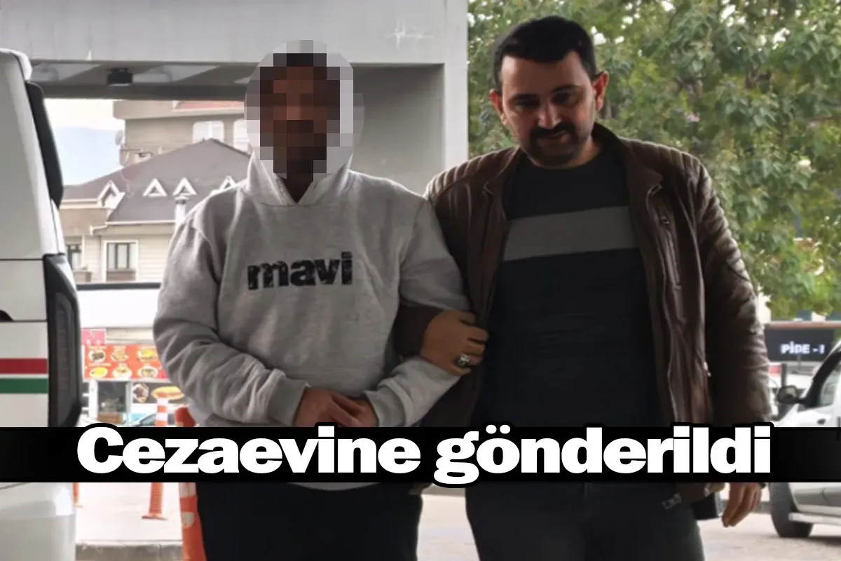 Cezaevine gönderildi