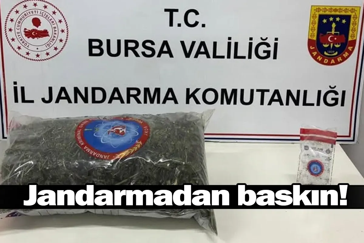 Jandarmadan baskın!