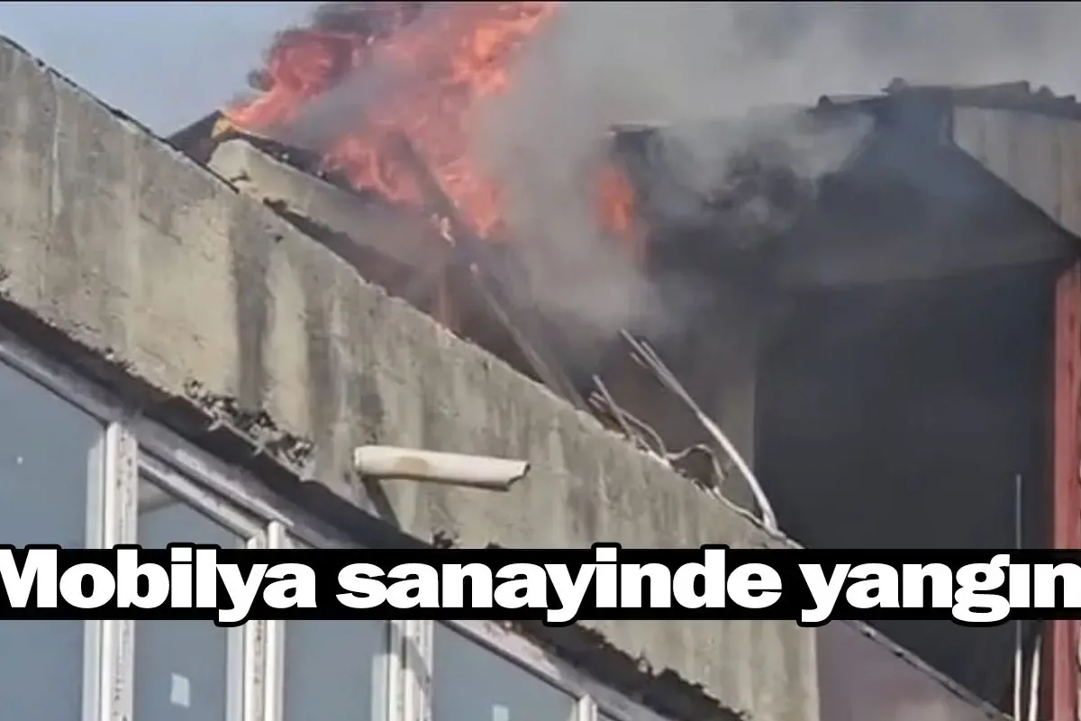 Mobilya sanayinde yangın