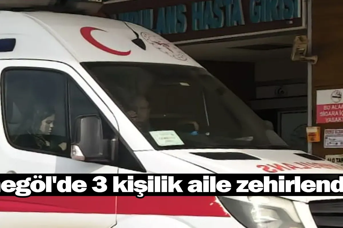 İnegöl'de 3 kişilik aile zehirlendi!