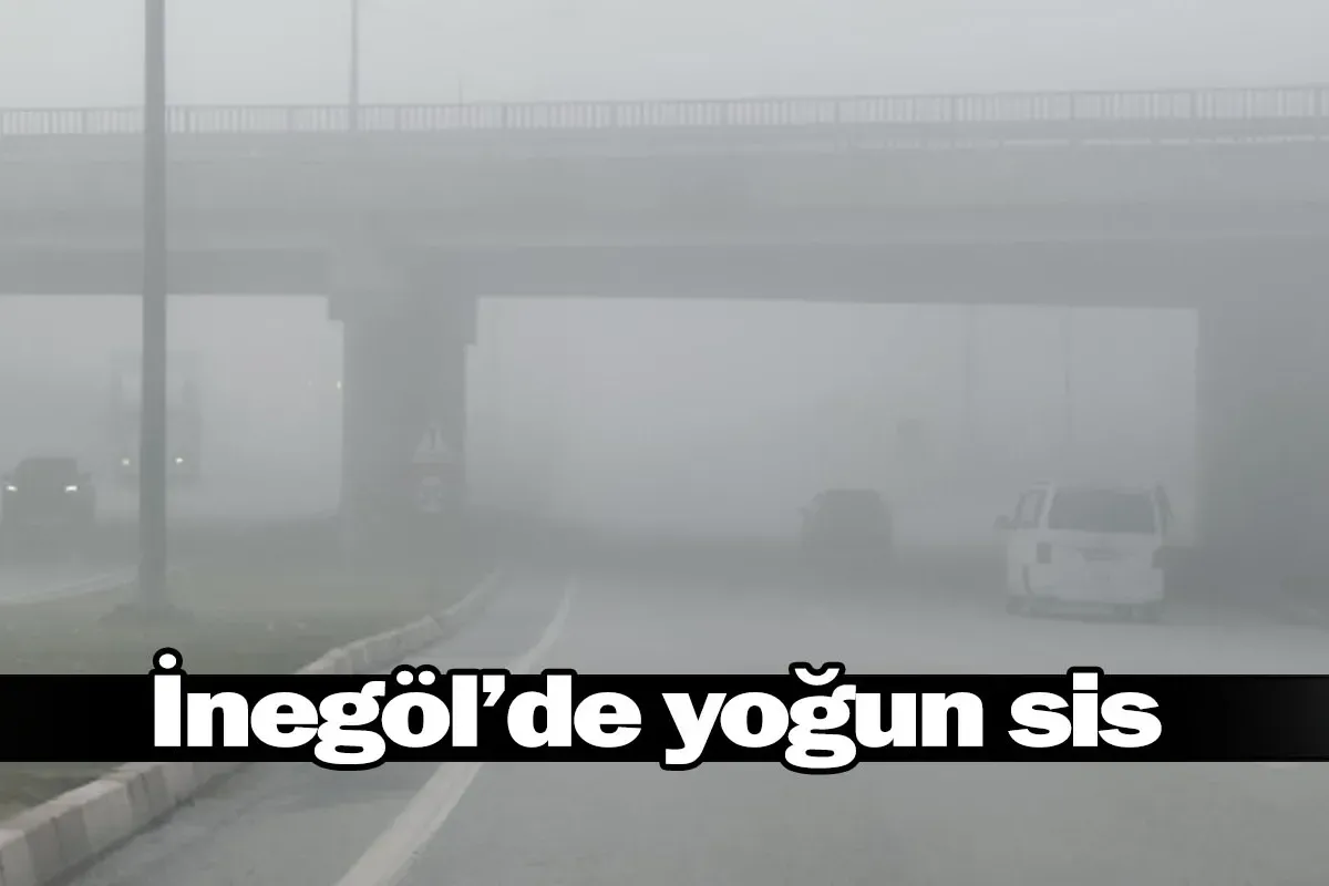 İnegöl'de yoğun sis