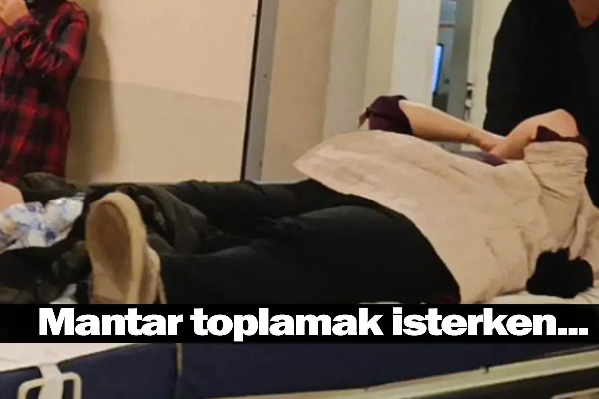 Mantar toplamak isterken...