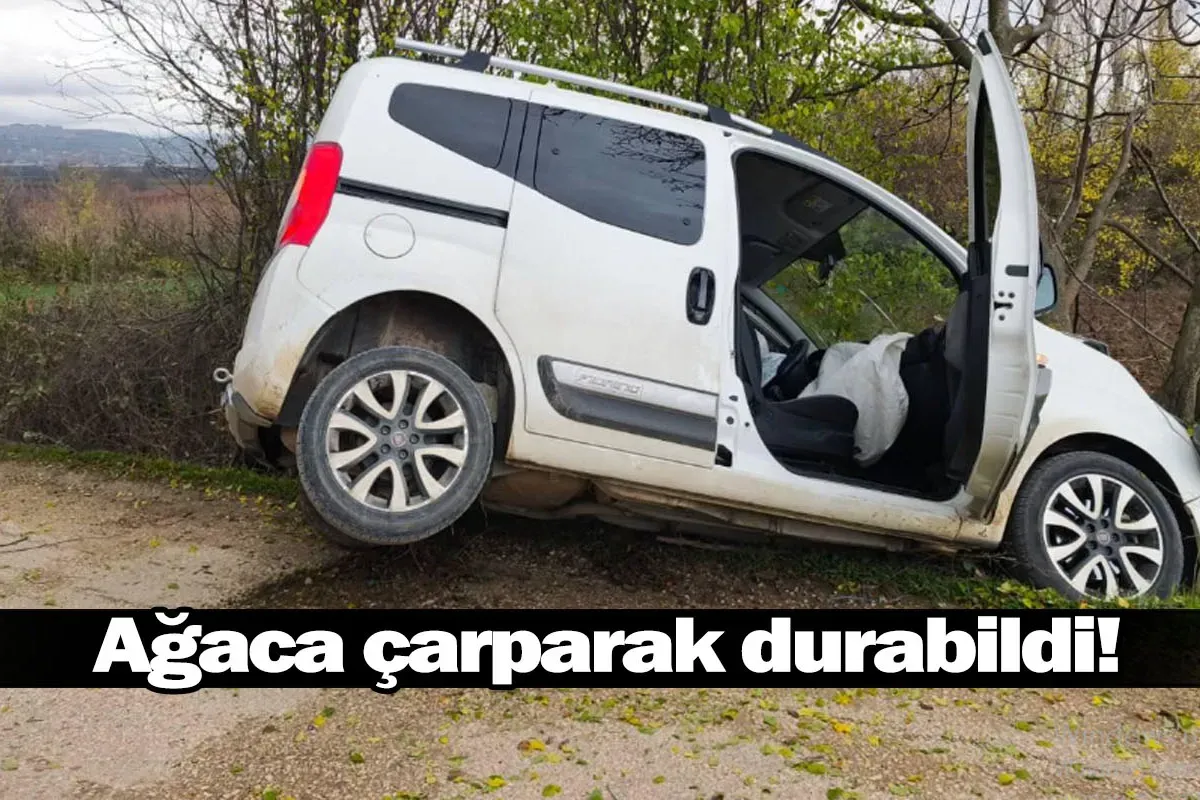 Ağaca çarparak durabildi!