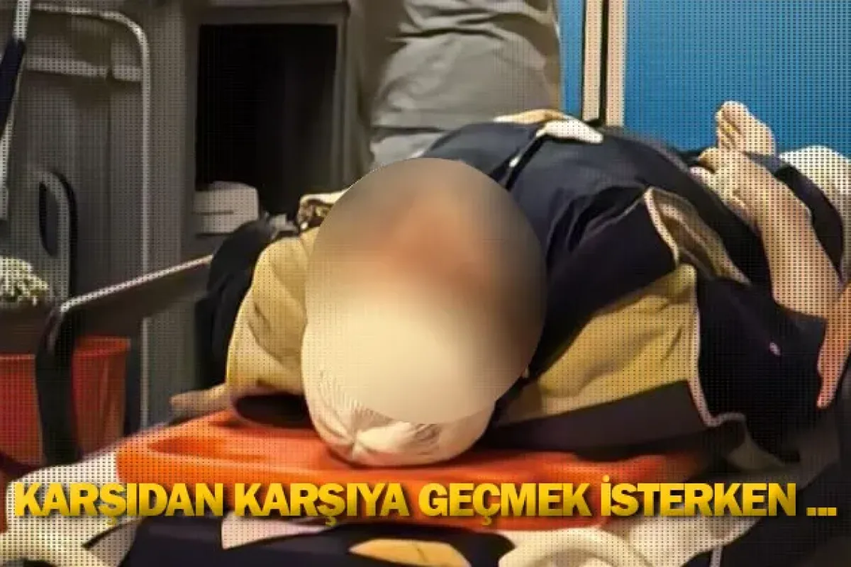 Karşıdan karşıya geçmek isterken ...