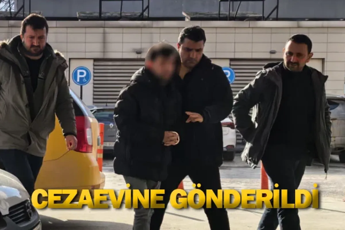 Cezaevine gönderildi
