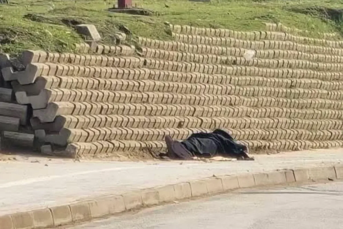 Yol kenarında hareketsiz halde bulundu…