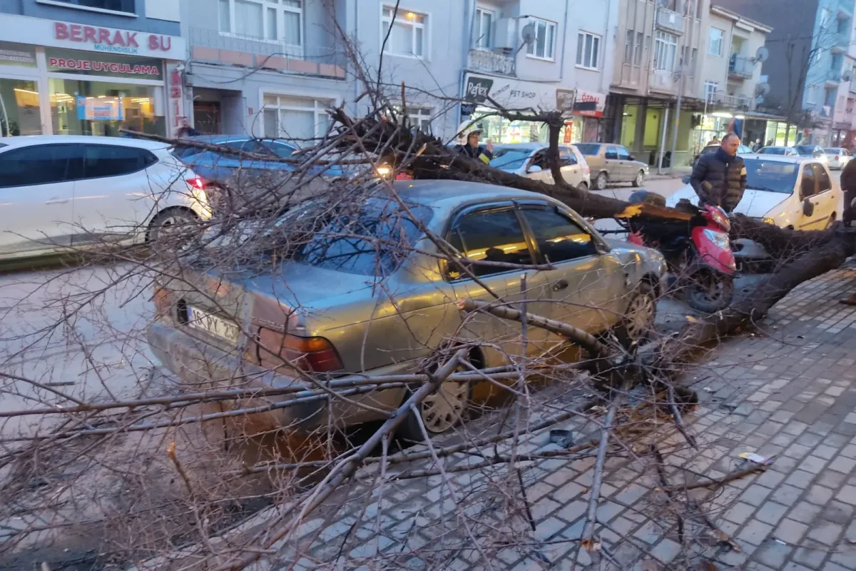 İnegöl’de Kuvvetli Lodos Hayatı Olumsuz Etkiledi
