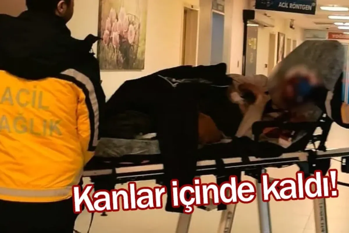 Kanlar içinde kaldı!