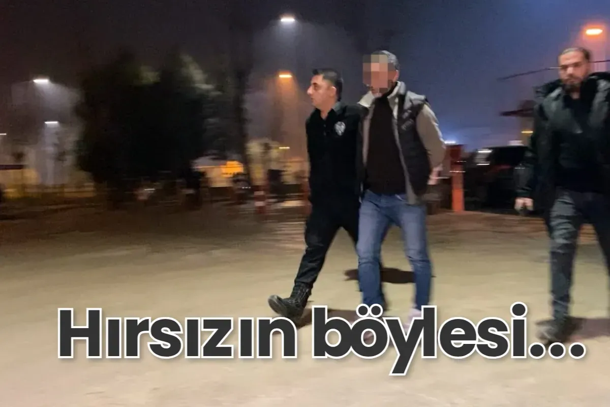 Hırsızın böylesi...