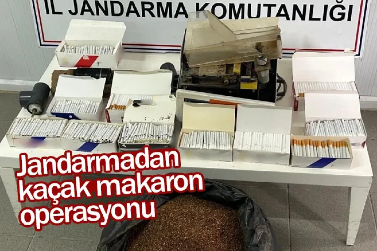 Jandarmadan kaçak makaron operasyonu