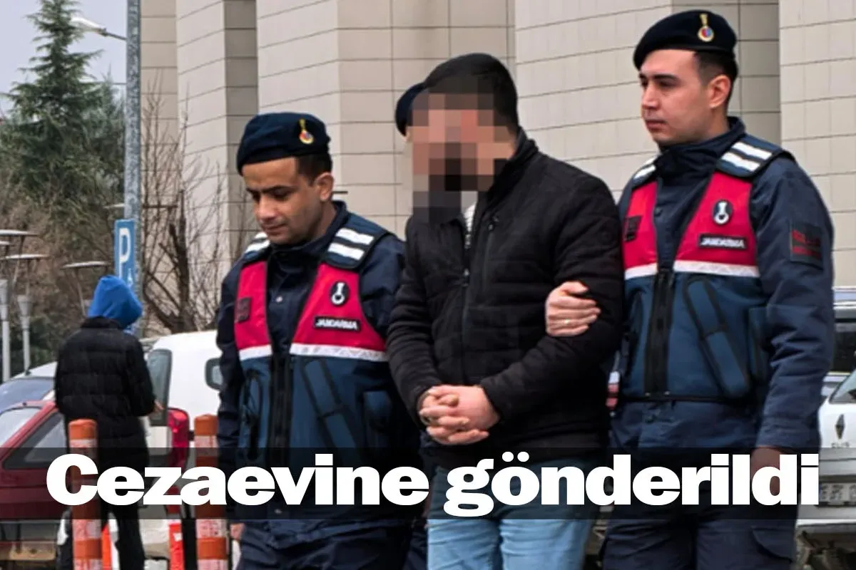 Cezaevine gönderildi