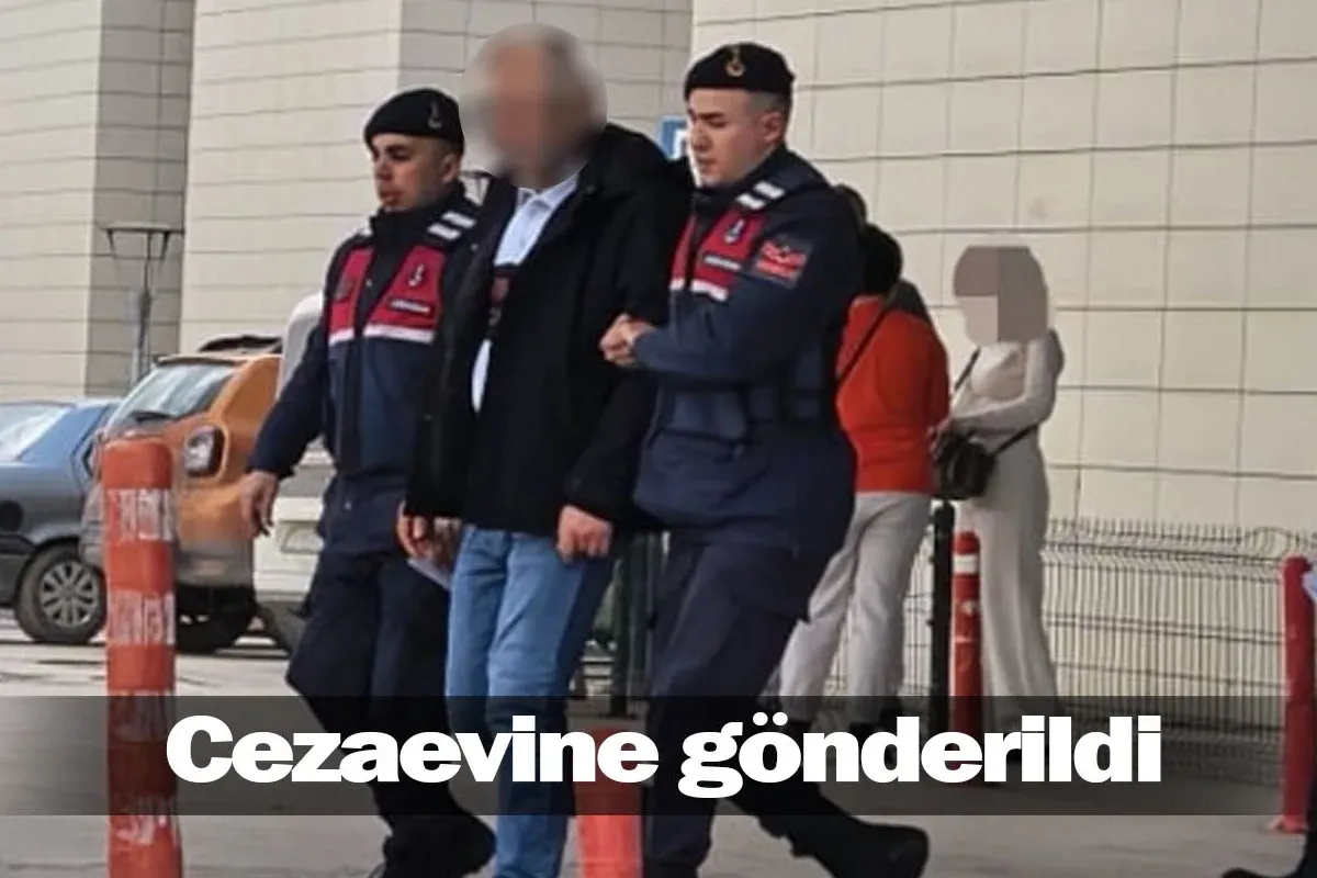 Cezaevine gönderildi