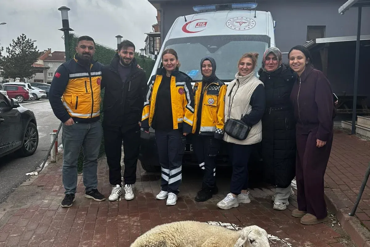 Ambulans için kurban kestiler