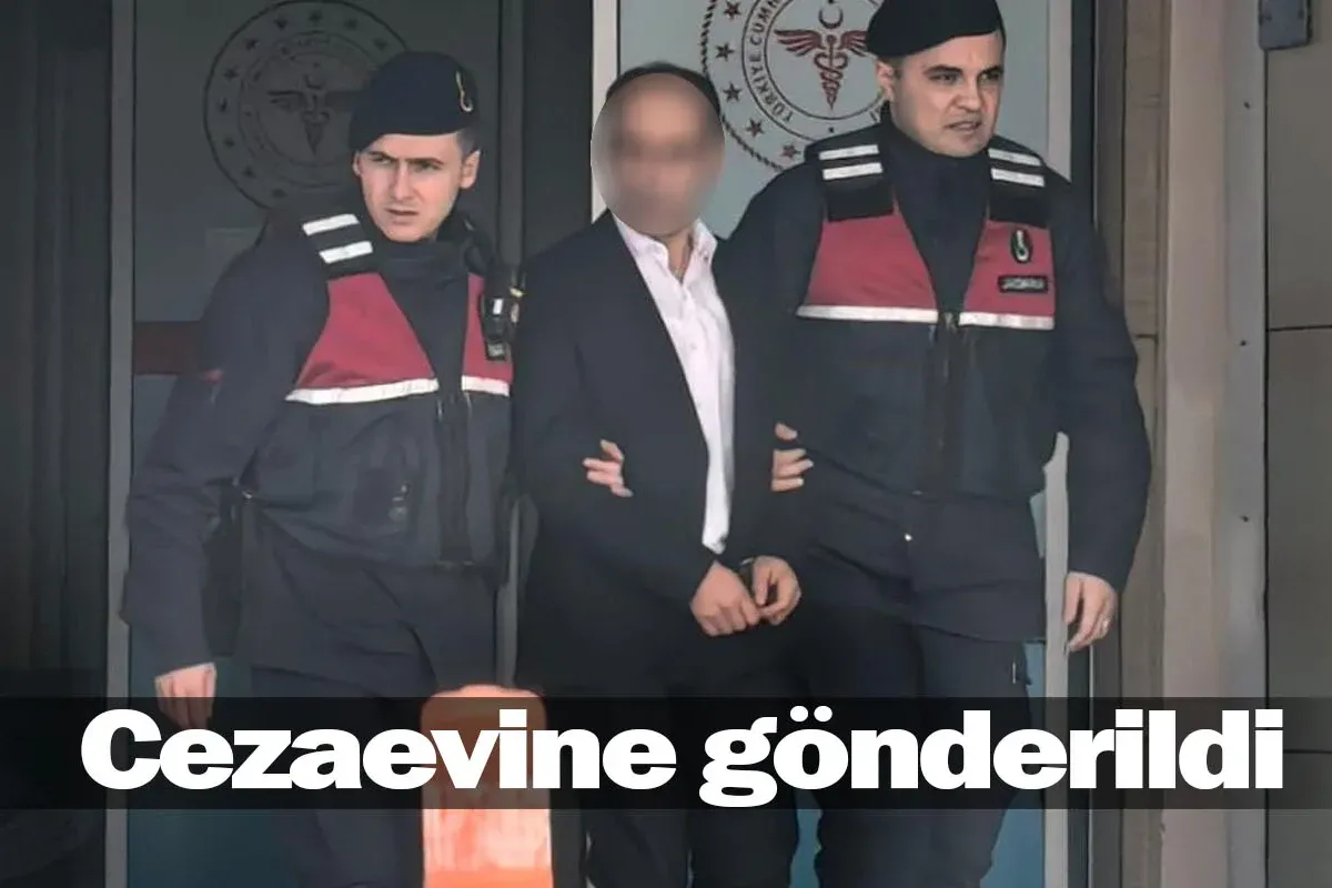 Cezaevine gönderildi