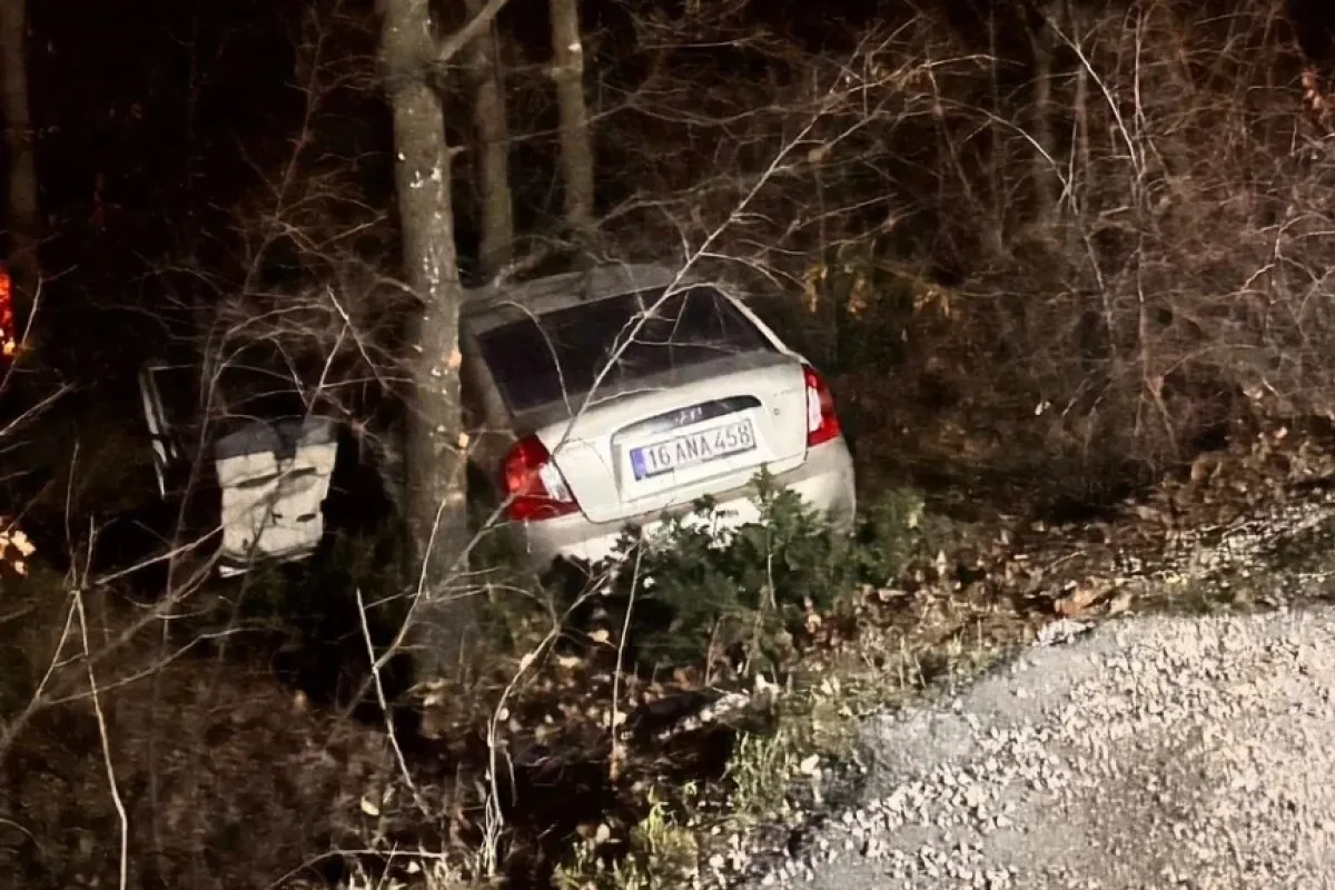 Agaçlık alana uçtu!