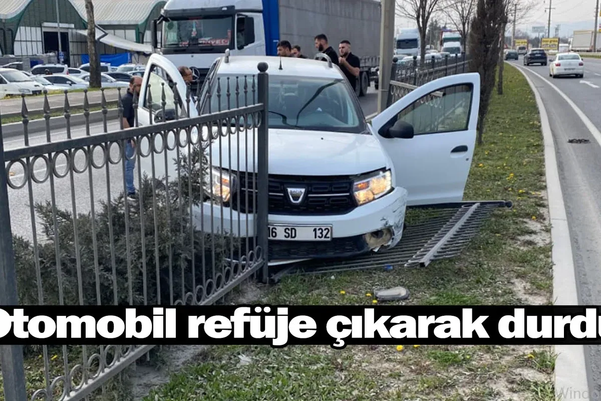 Otomobil refüje çıkarak durdu!