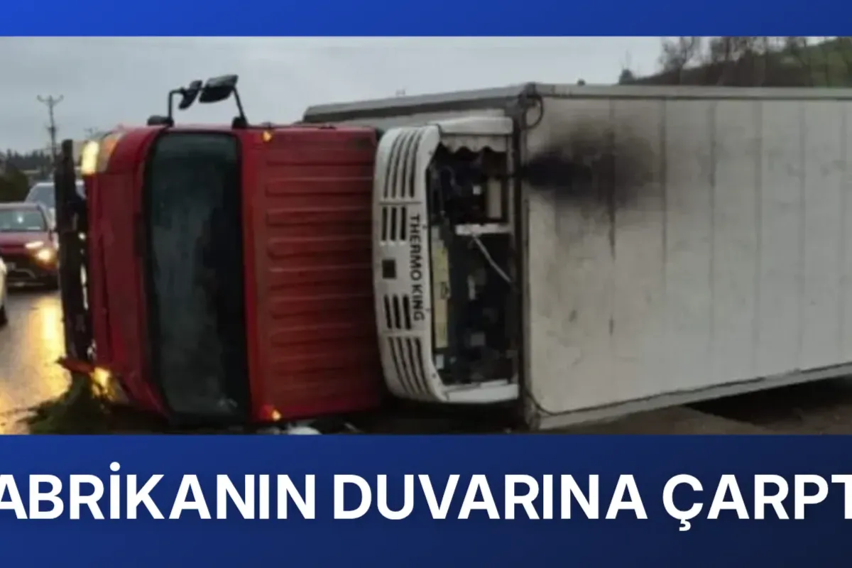 Fabrikanın duvarına çarptı
