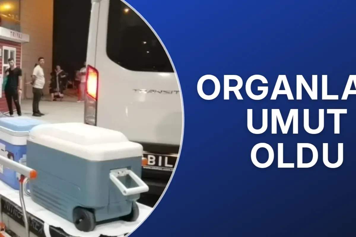 Organları umut oldu
