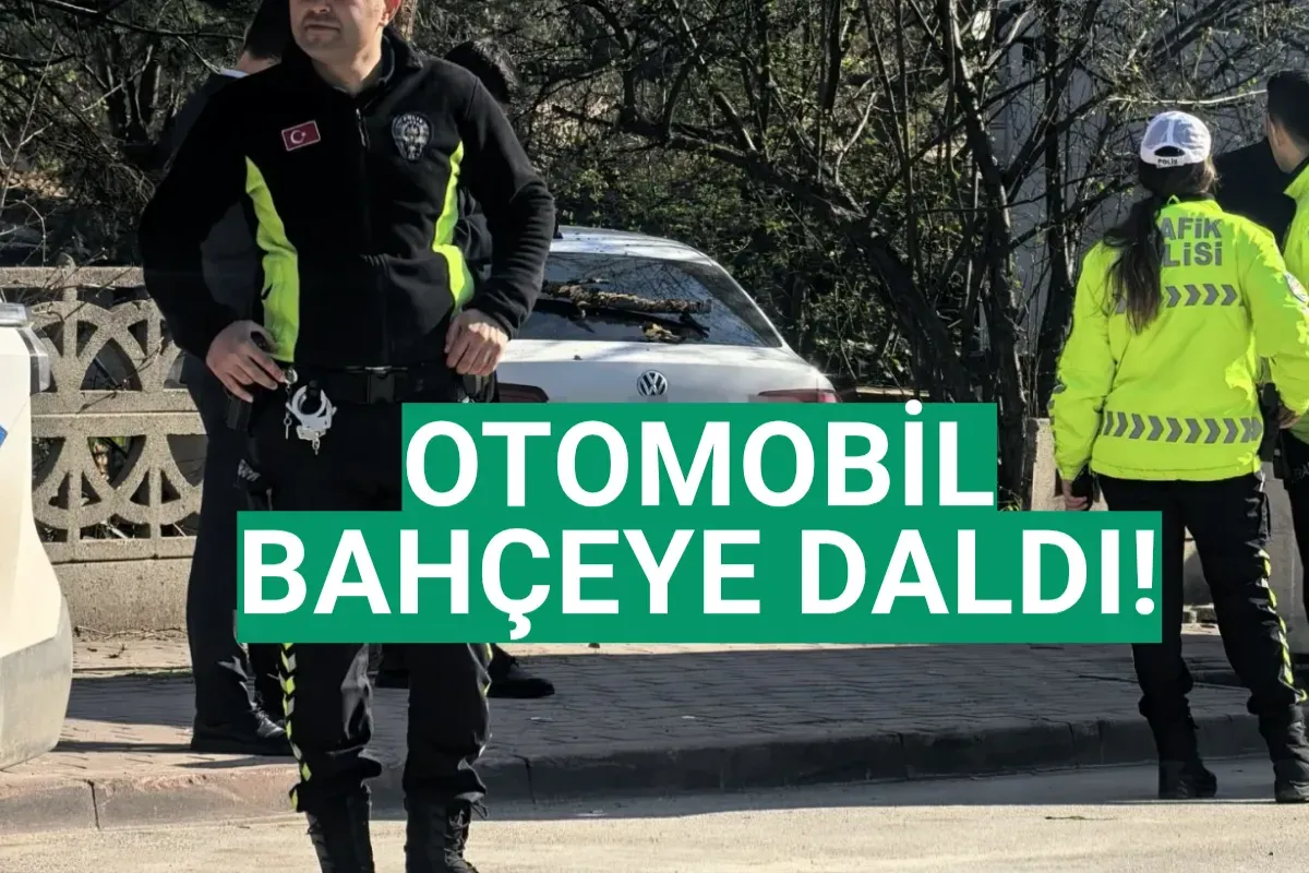 Otomobil bahçeye daldı!