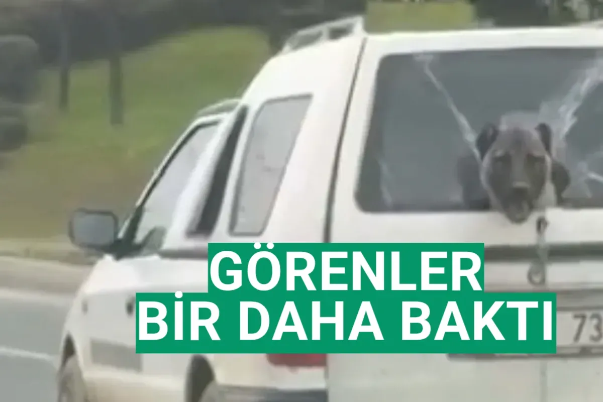 Görenler bir daha baktı