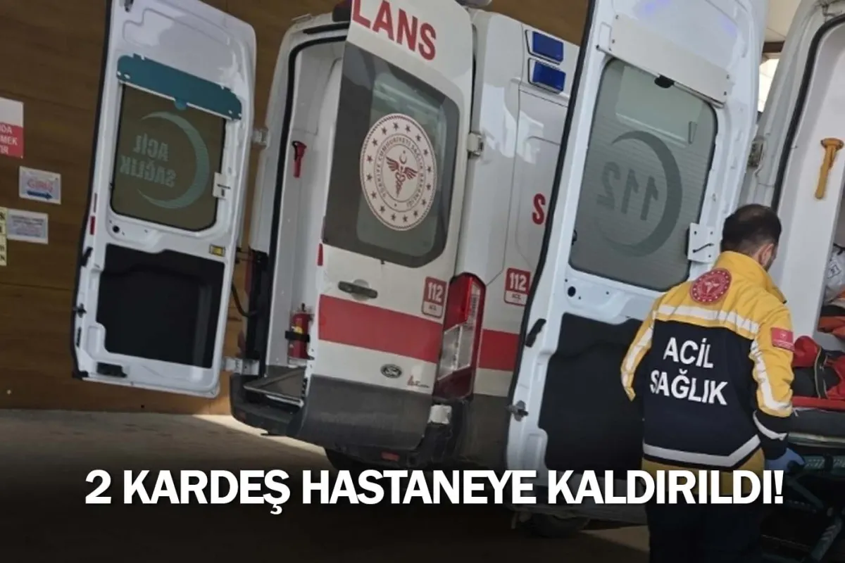 2 kardeş hastaneye kaldırıldı