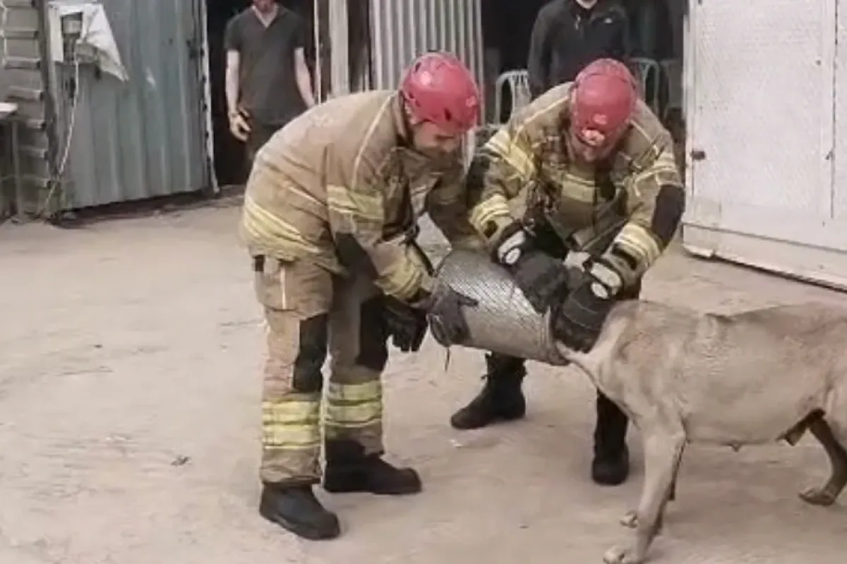 İnegöl'de köpeği böyle kurtardılar!
