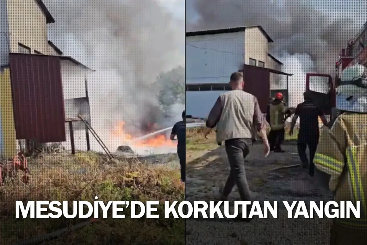 Mesudiye'de korkutan yangın