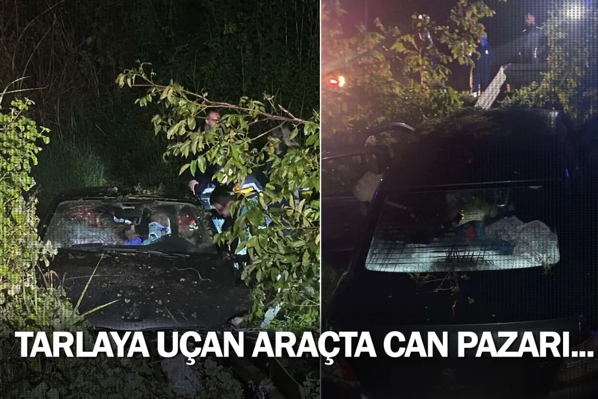 İnegöl'de tarlaya uçan araçta can pazarı...