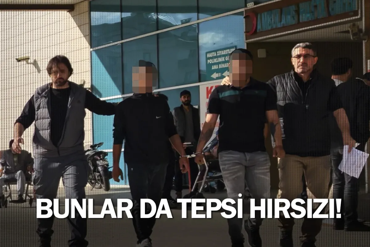 Bunlar da tepsi hırsızı!
