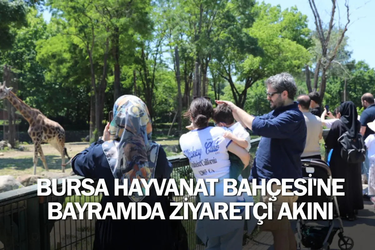 Bursa Hayvanat Bahçesi'ne bayramda ziyaretçi akını
