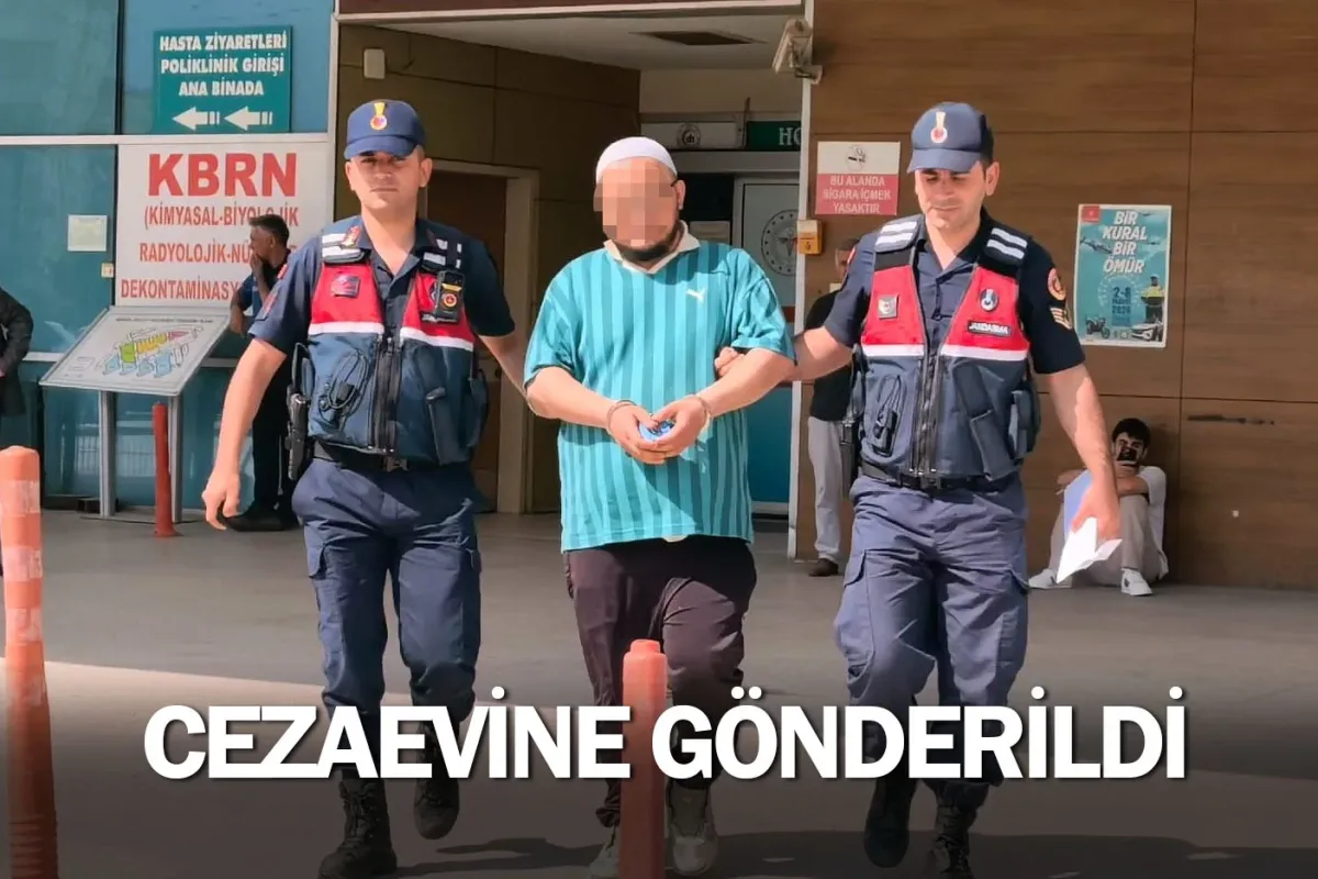 Cezaevine gönderildi