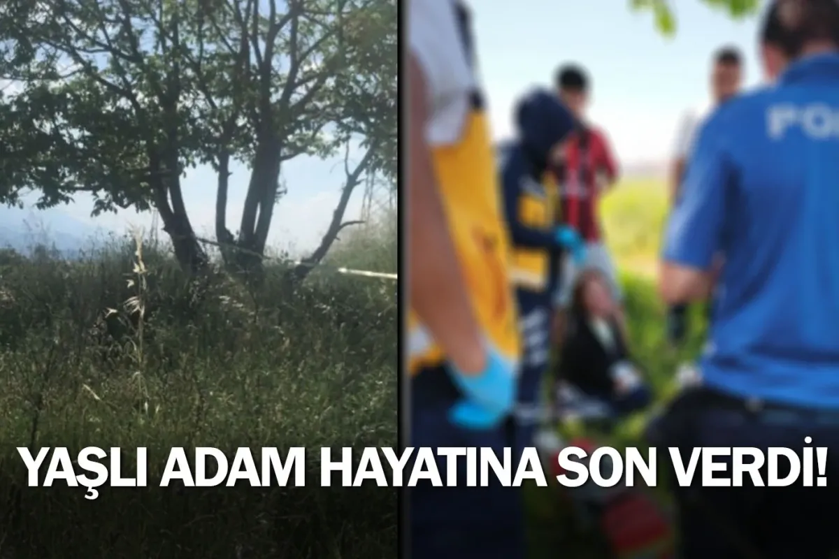 Yaşlı adam hayatına son verdi!