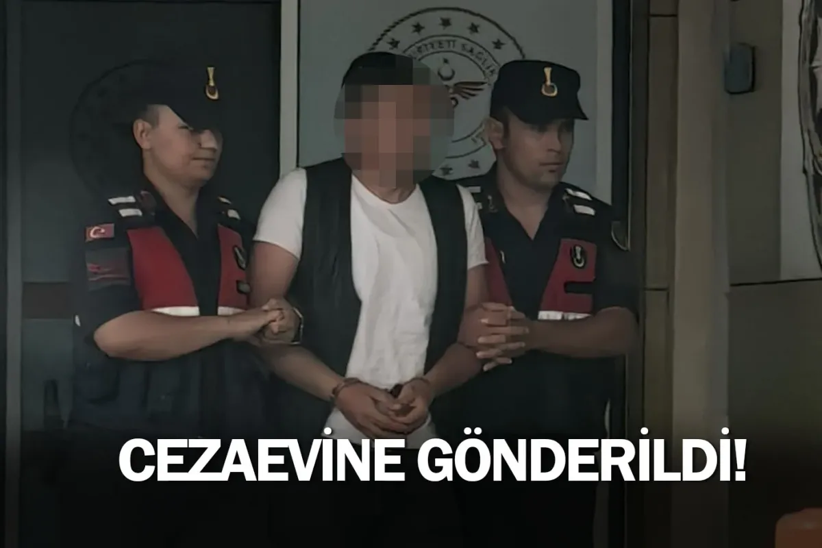 Cezaevine gönderildi!