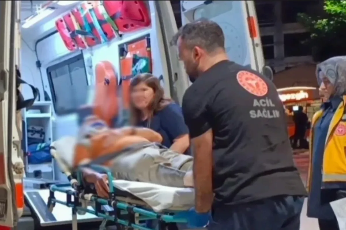 Erik ağacından düştü!