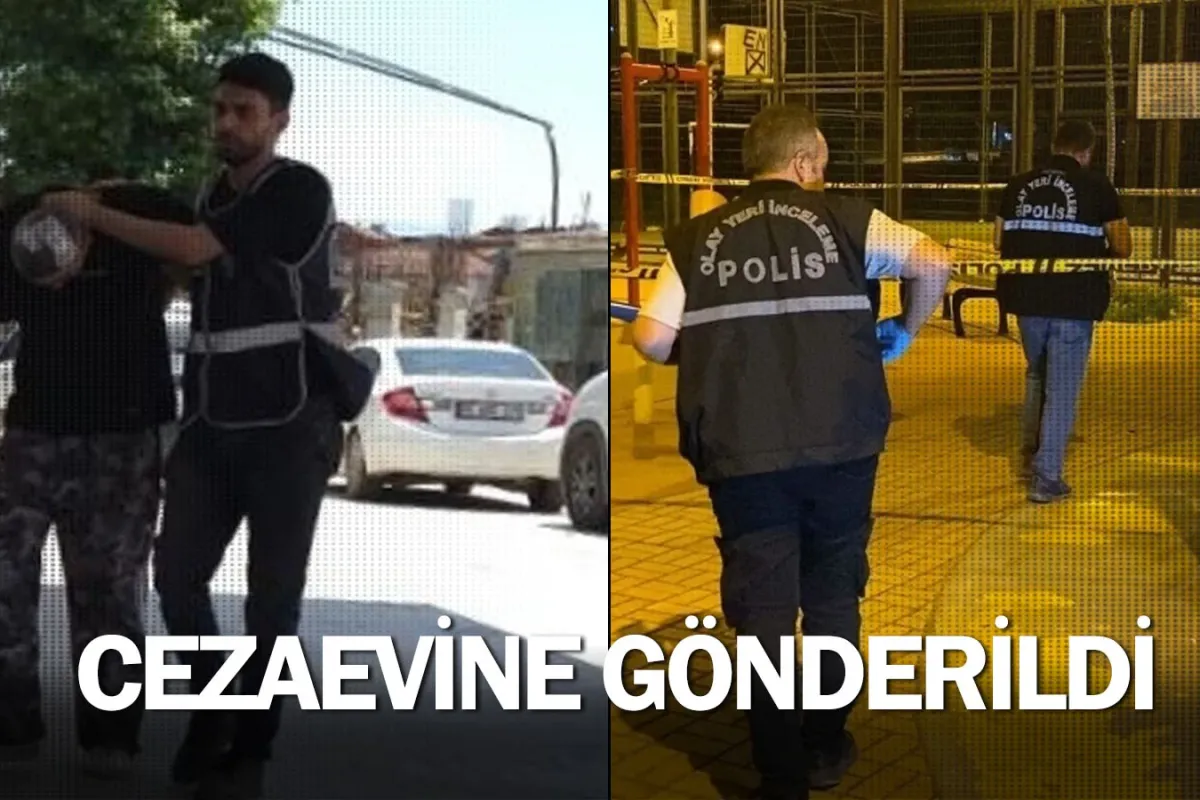 Cezaevine gönderildi