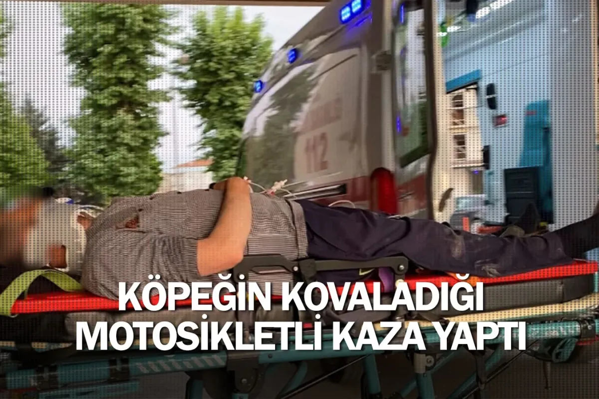 Köpeğin kovaladığı motosikletli kaza yaptı