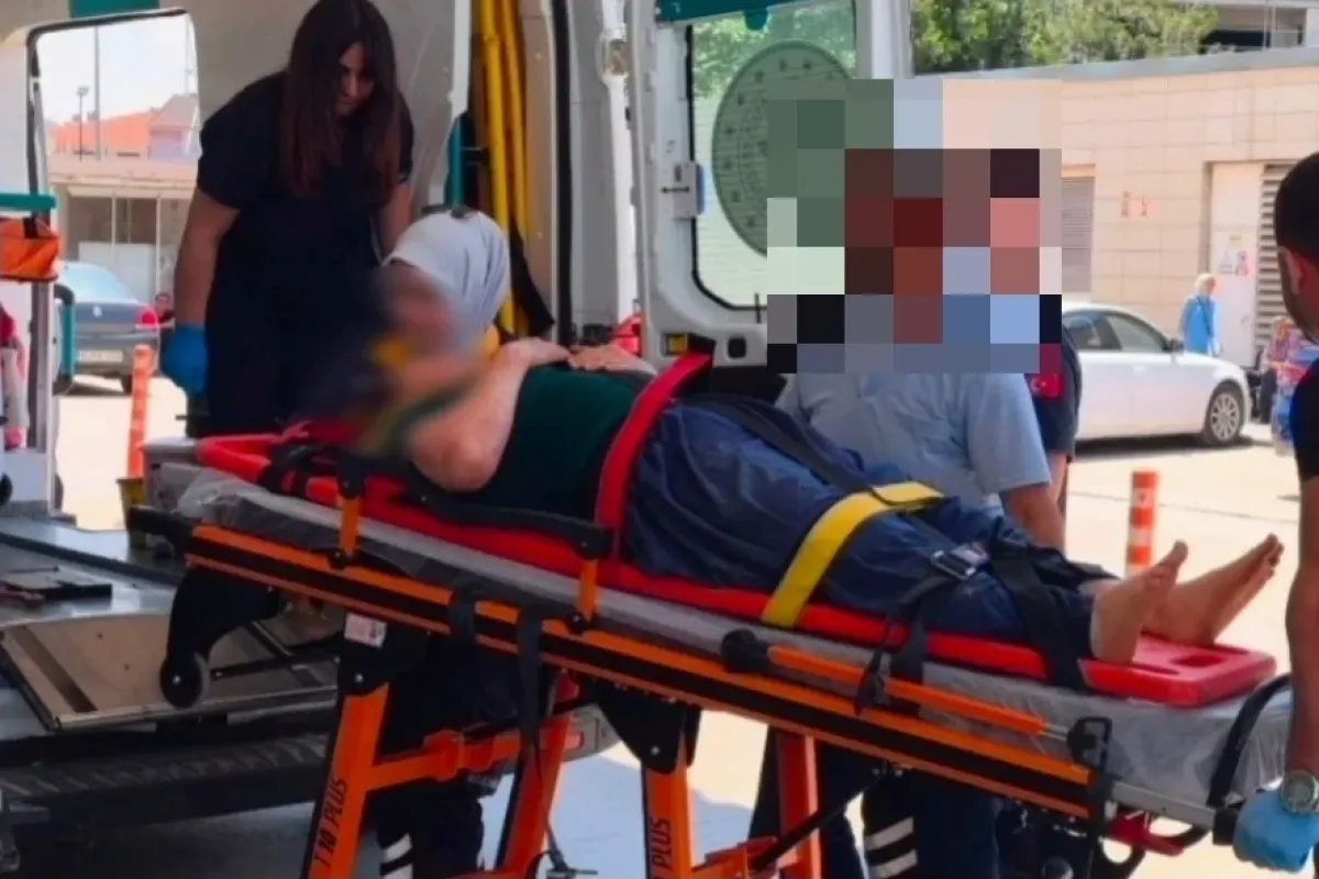 Erik toplarken ağaçtan düştü: Hastanelik oldu