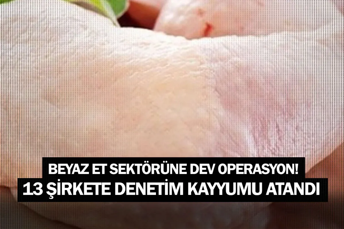 Beyaz et sektörüne dev operasyon! 13 şirkete denetim kayyumu atandı