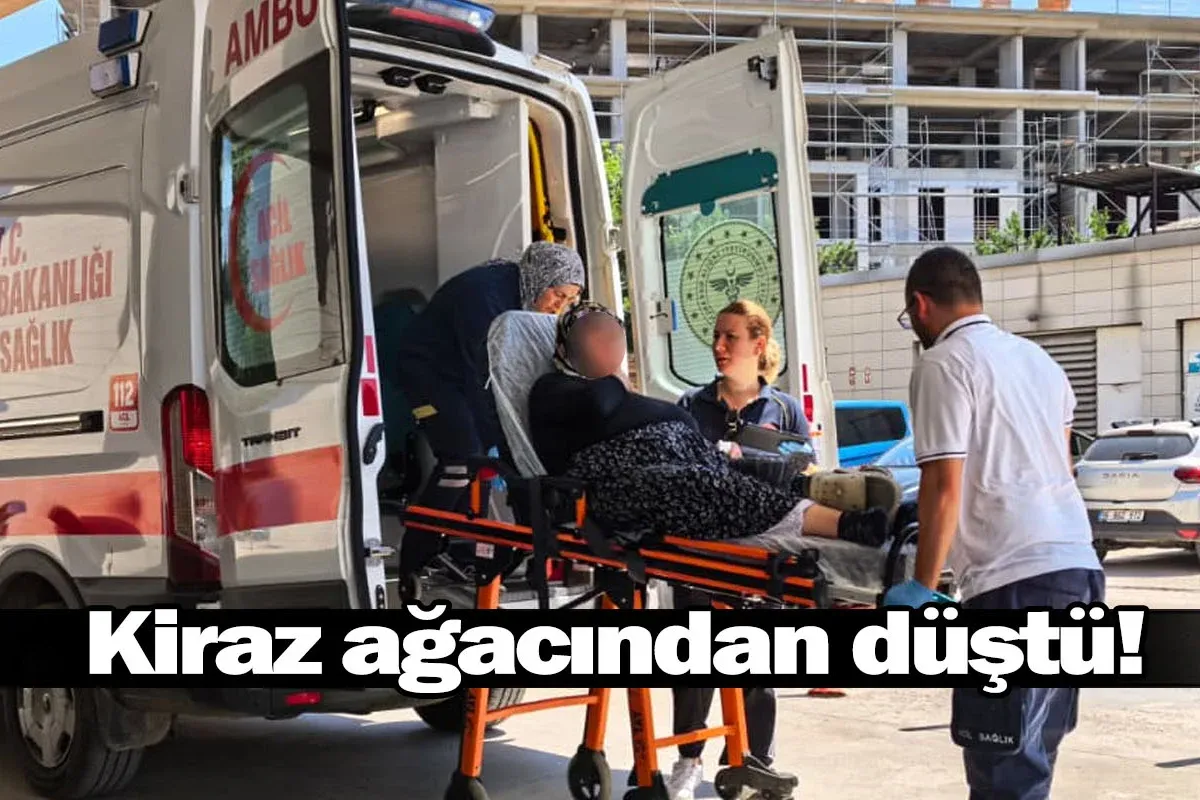 Kiraz ağacından düştü!