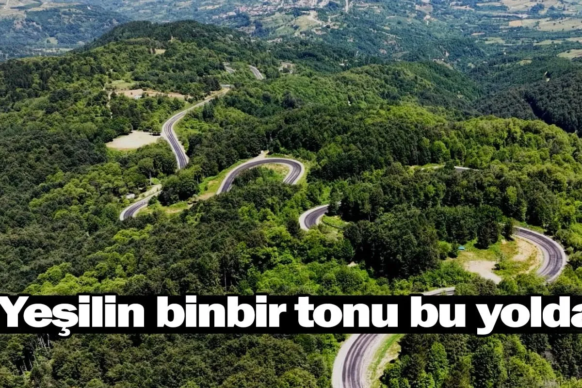 Yeşilin binbir tonu bu yolda