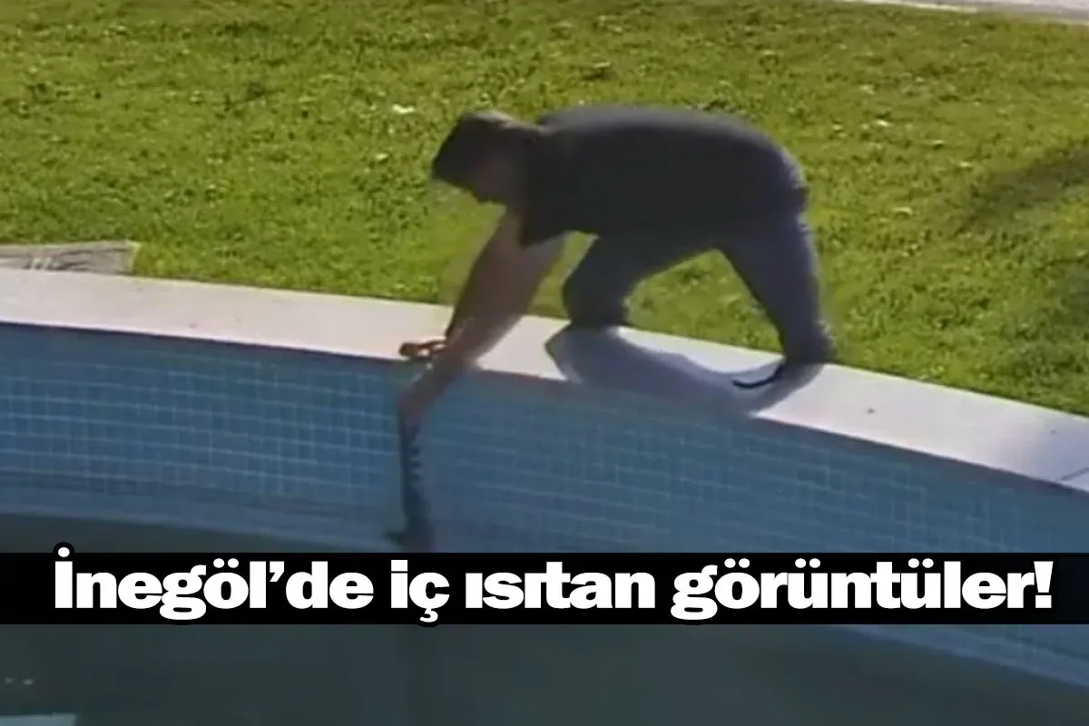 Havuzda Çırpınan Karganın Yardımına Koştu