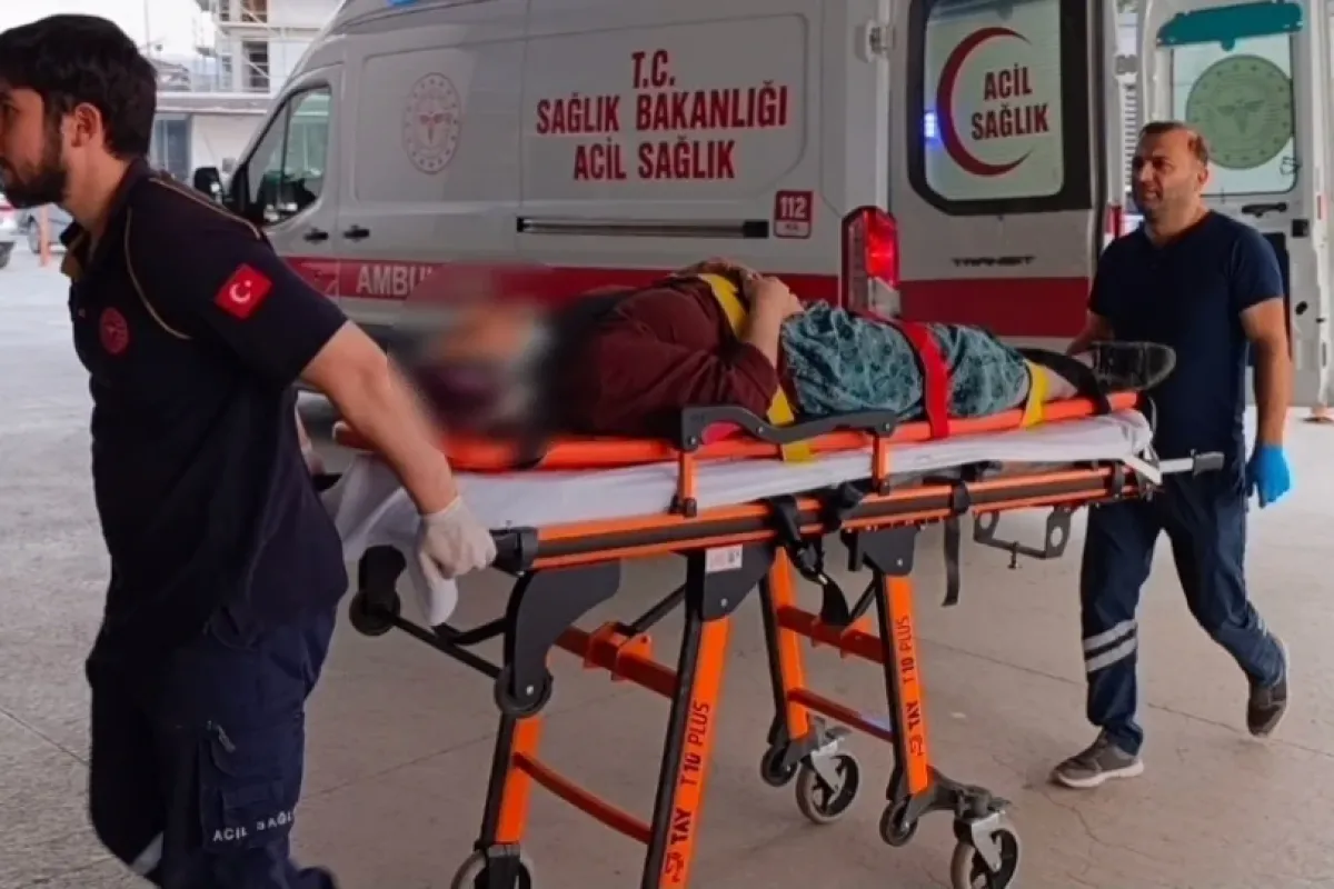 Kiraz ağacından düştü!