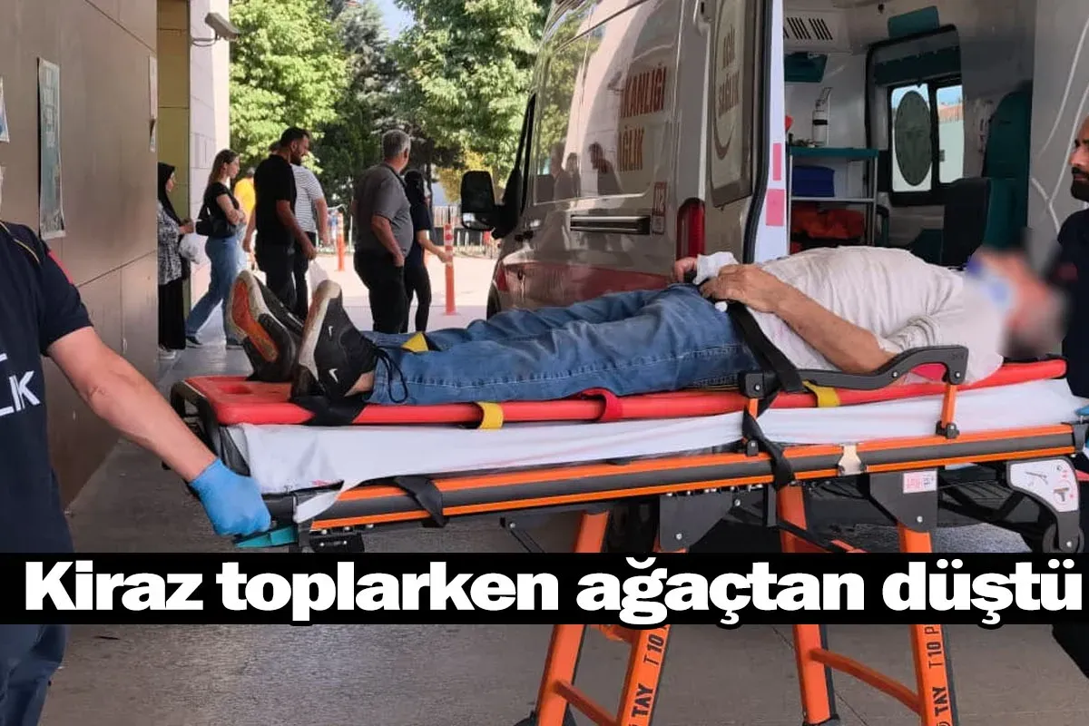 Kiraz toplarken ağaçtan düştü