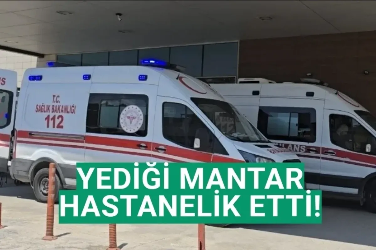 Yediği mantar hastanelik etti