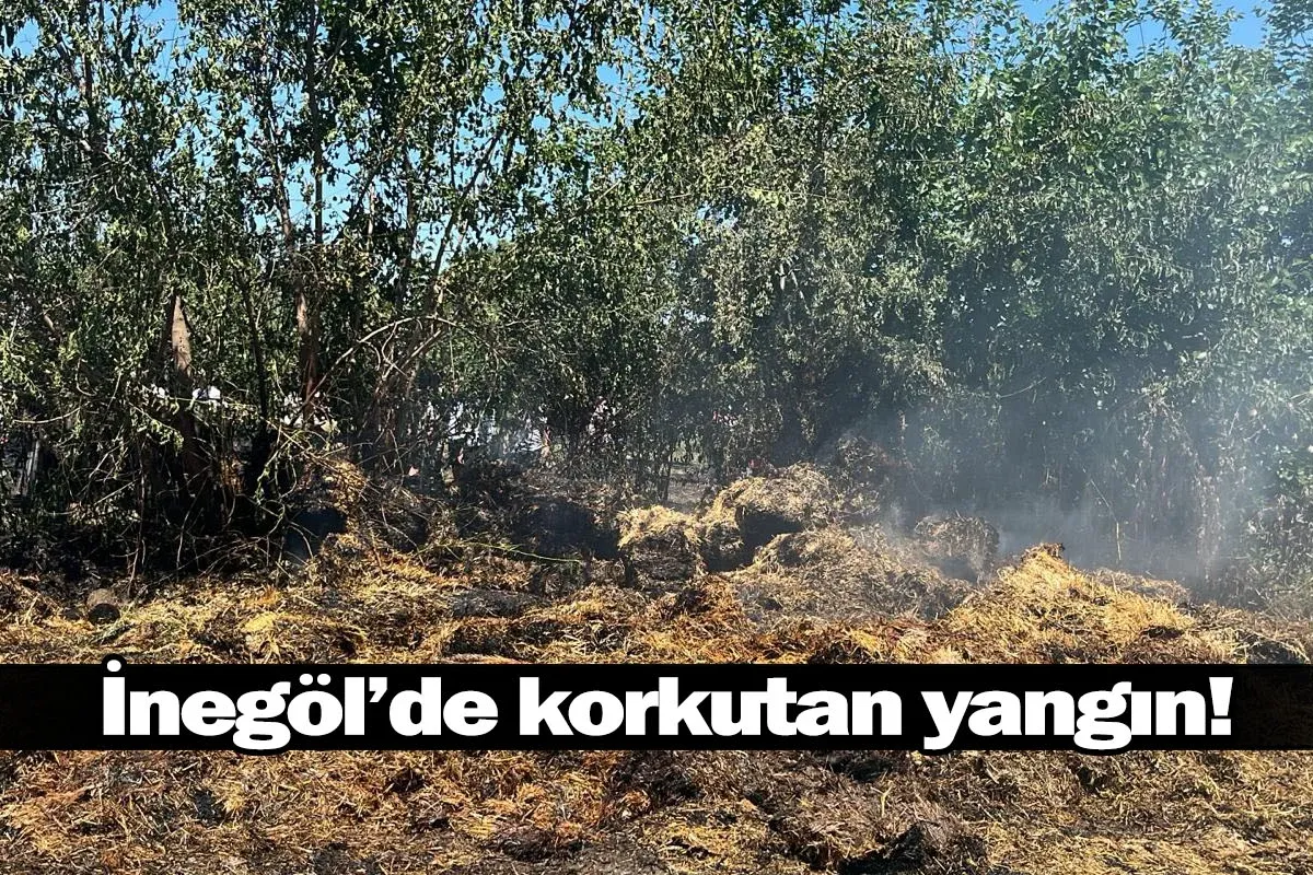 İnegöl'de korkutan yangın